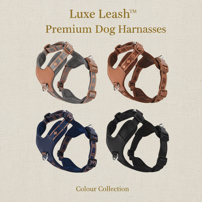 Luxe Leash Harness Colour Collection