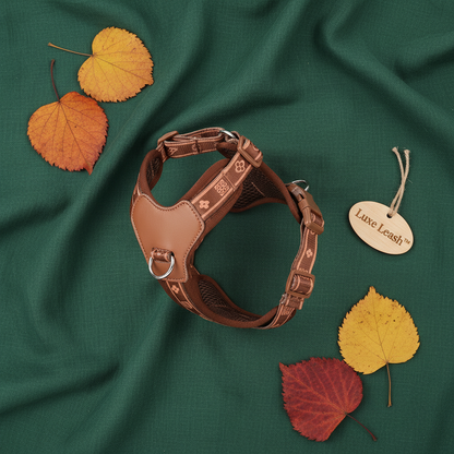 Luxe Leash Harness Flat Lay